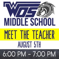WOSM Meet Teacher